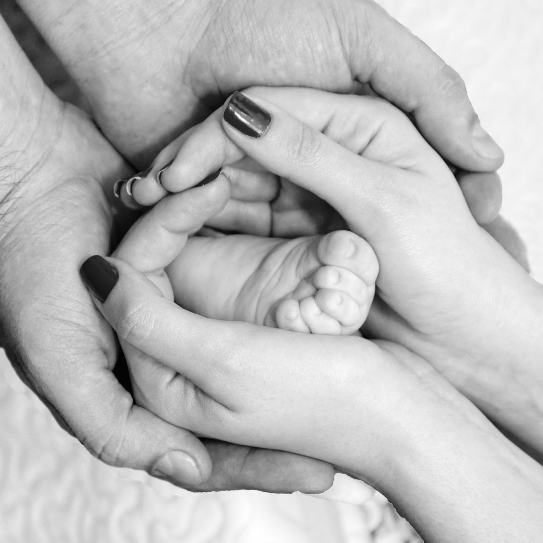 Angelicavaihel Family 6636042 1920 Jpg